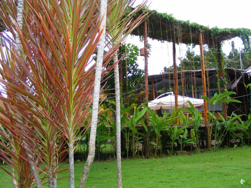 Chillout Guesthouse Panglao Extérieur photo